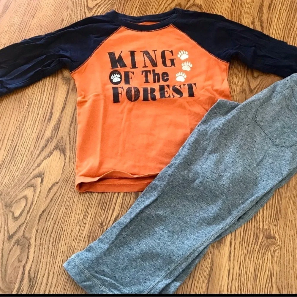 Gymboree Outfit